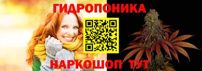 гидропоника Кунгур