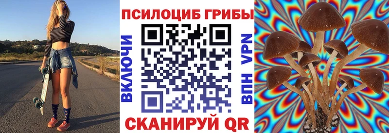 Псилоцибиновые грибы Psilocybine cubensis  наркошоп  Губкин 