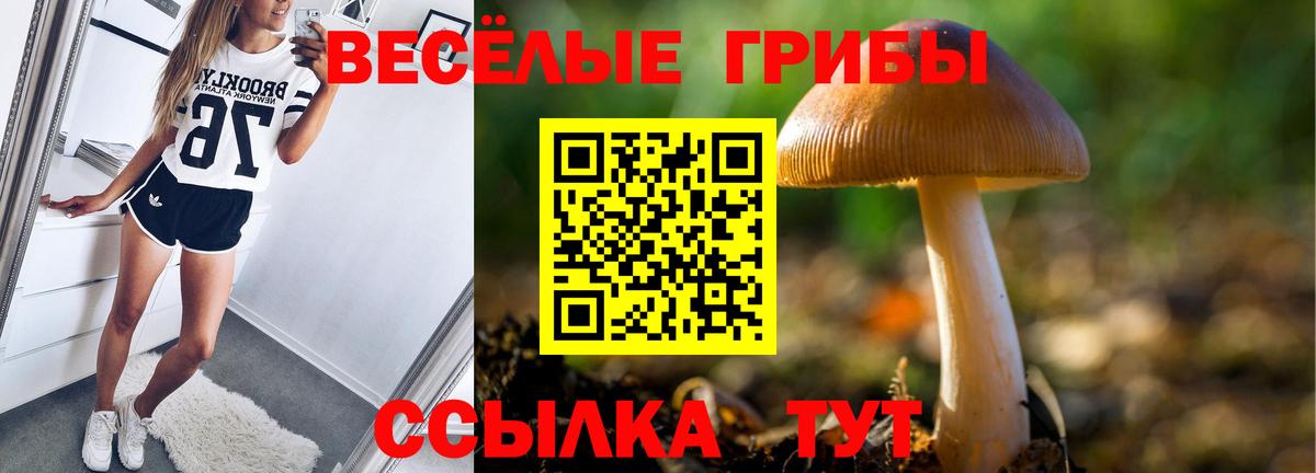 Псилоцибиновые грибы Cubensis  Вход с VPN  Губкин  Псилоцибиновые грибы MAGIC MUSHROOMS 