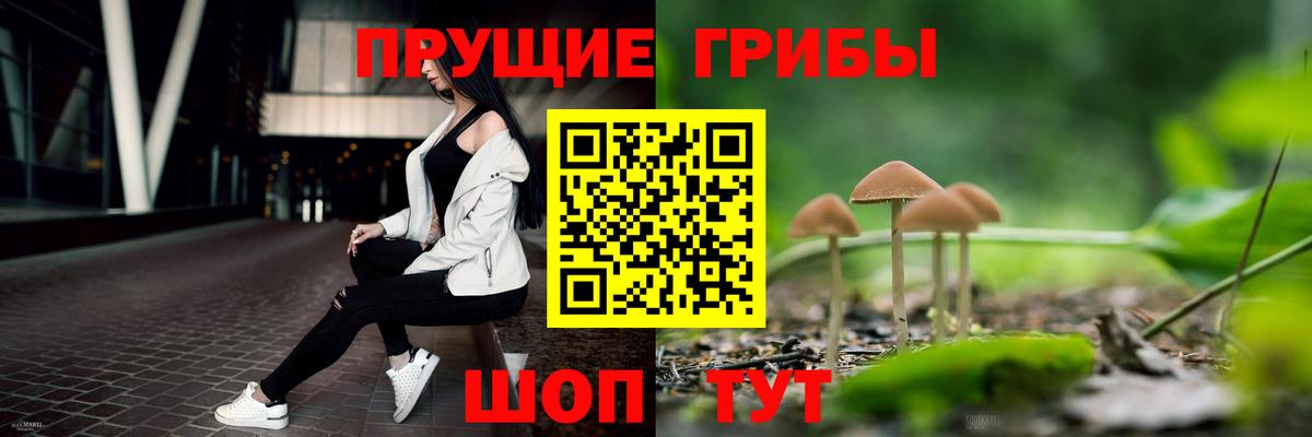 Галлюциногенные грибы прущие грибы Губкин